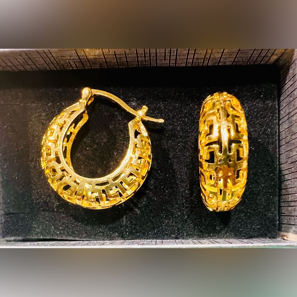 Elegant Gold Hoop Earrings